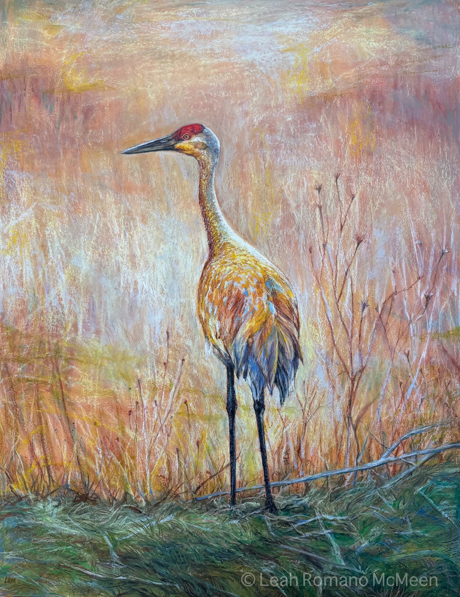 Golden Hour Crane Art Print