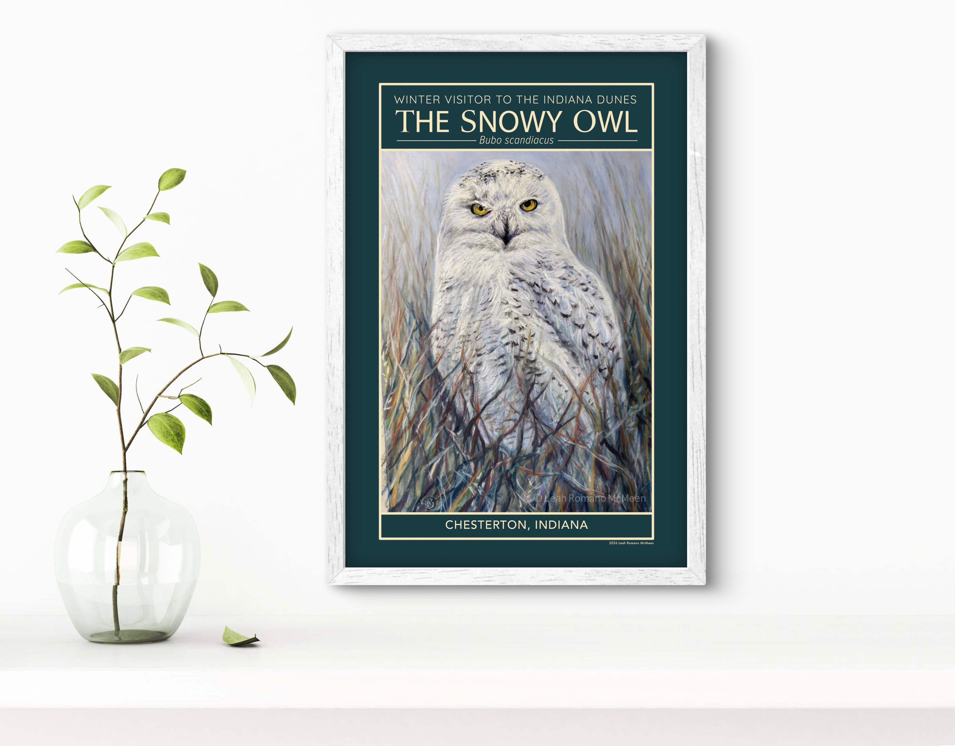 Snowy Owl Winter Visitor Poster Print