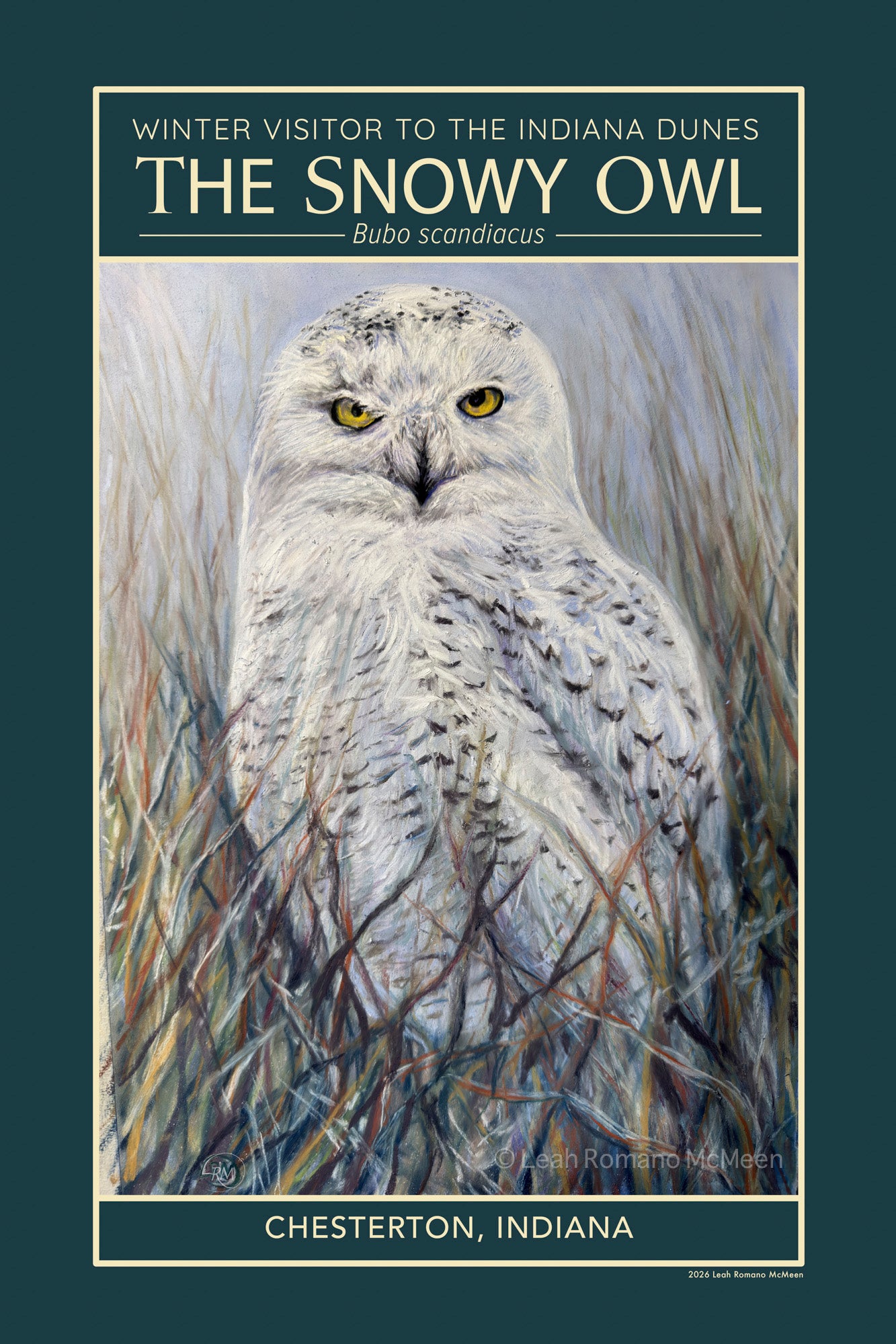 Snowy Owl Winter Visitor Poster Print
