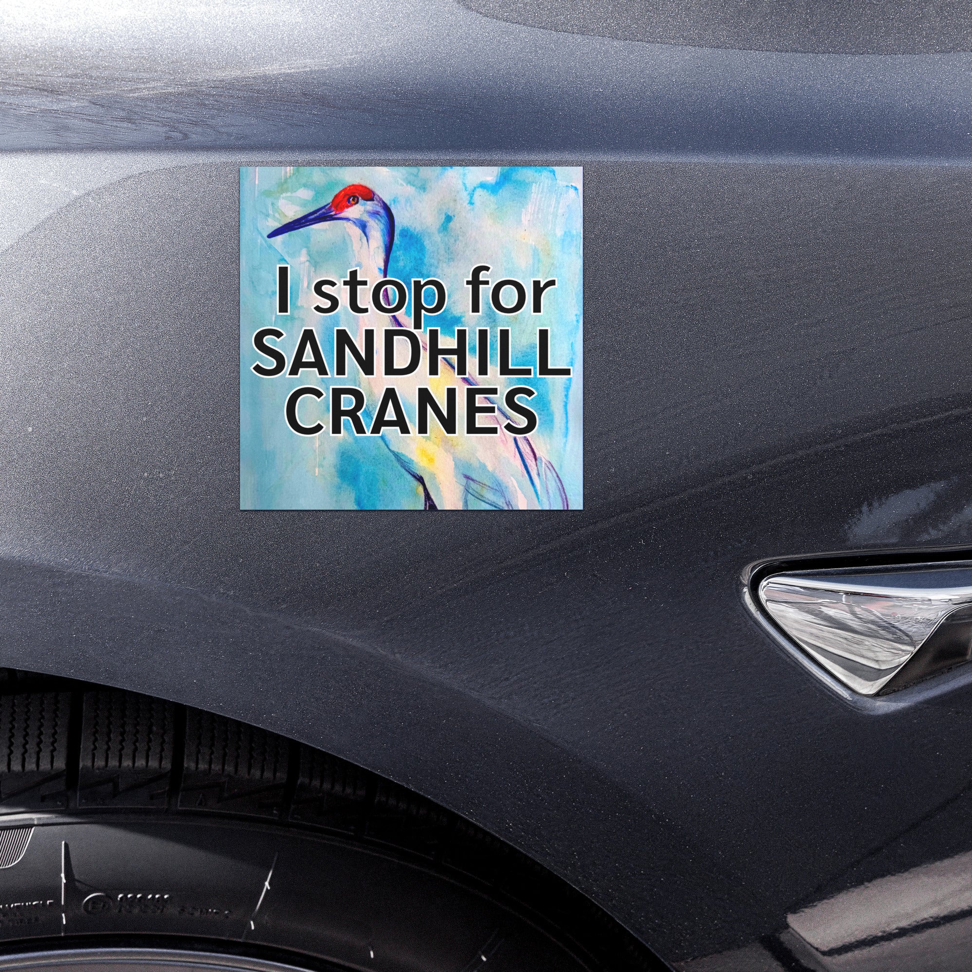 I Stop For Sandhill Cranes 5"x5" Car Magnet