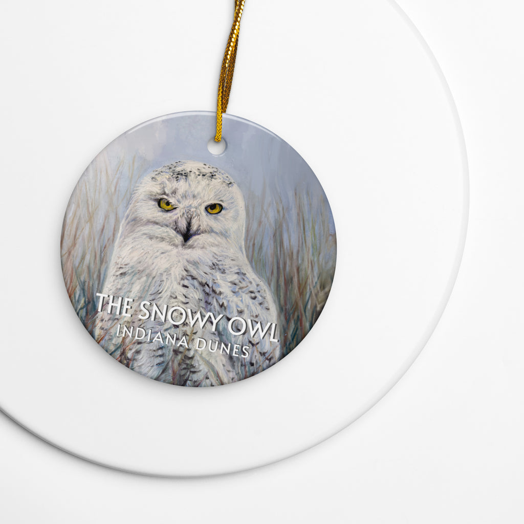 Ornament with a snowy owl design on a white background