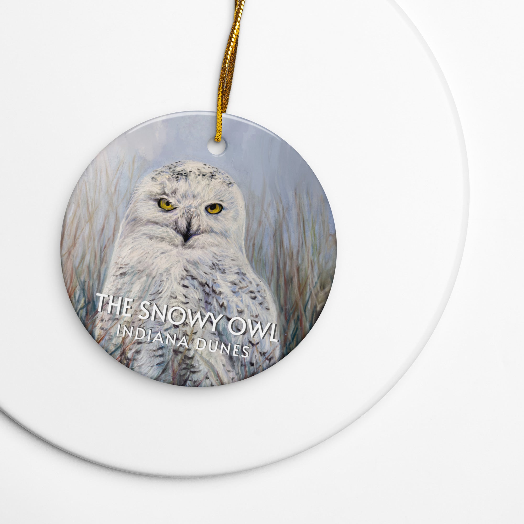 Ornament with a snowy owl design on a white background