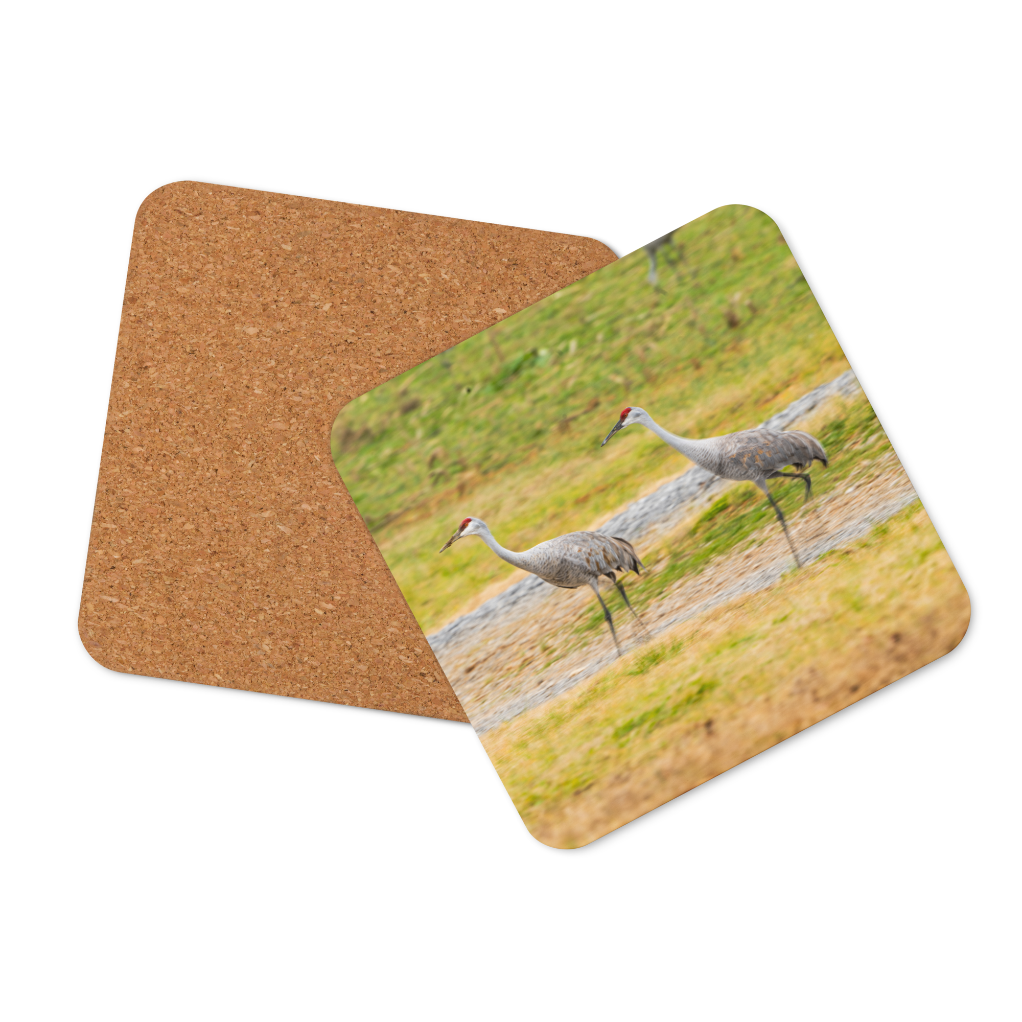 Sandhill Cranes In Harmony Cork-Back Coaster