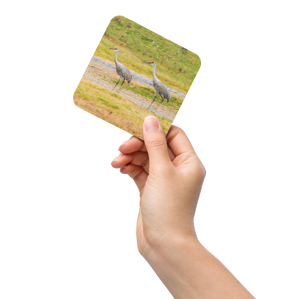 Sandhill Cranes In Harmony Cork-Back Coaster