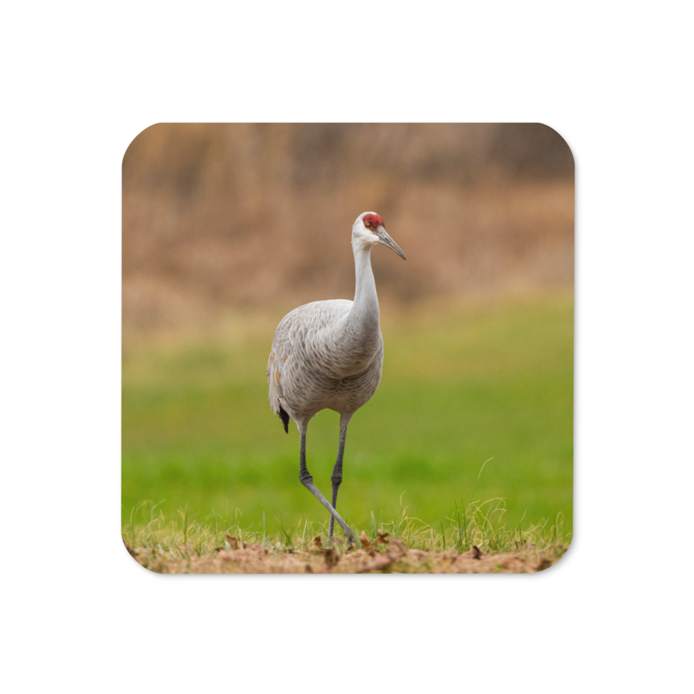 Sandhill Crane Graceful Stride Cork-Back Coaster