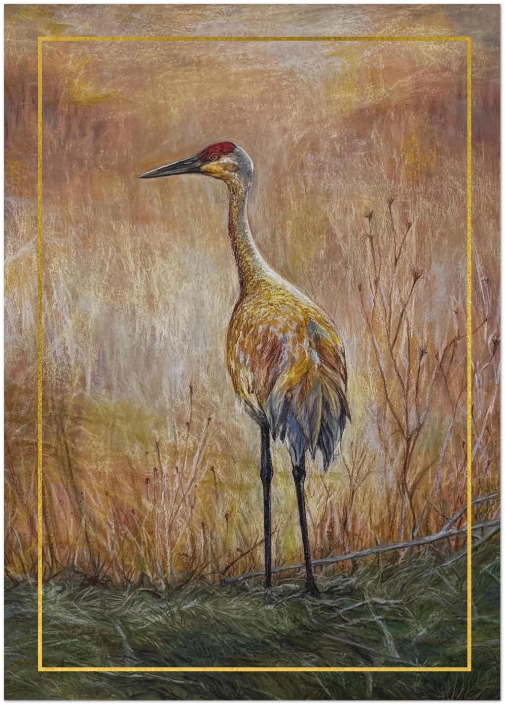 Golden Hour Crane – Pack of 10 Sandhill Crane Greeting Cards
