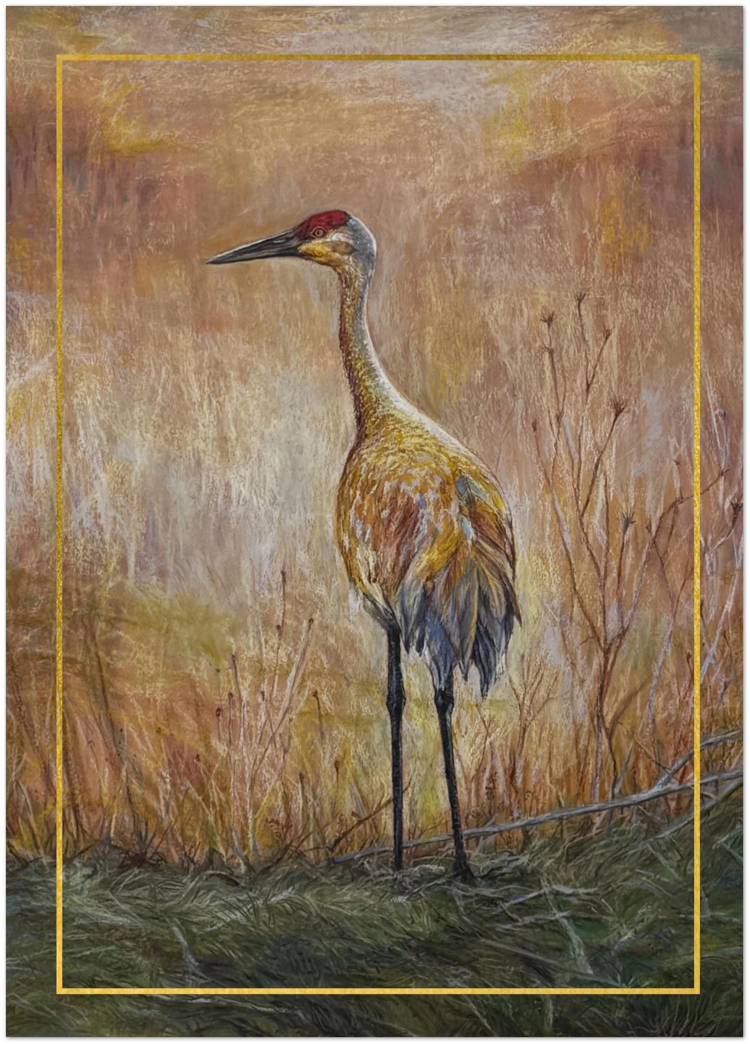 Golden Hour Crane – Pack of 10 Sandhill Crane Greeting Cards