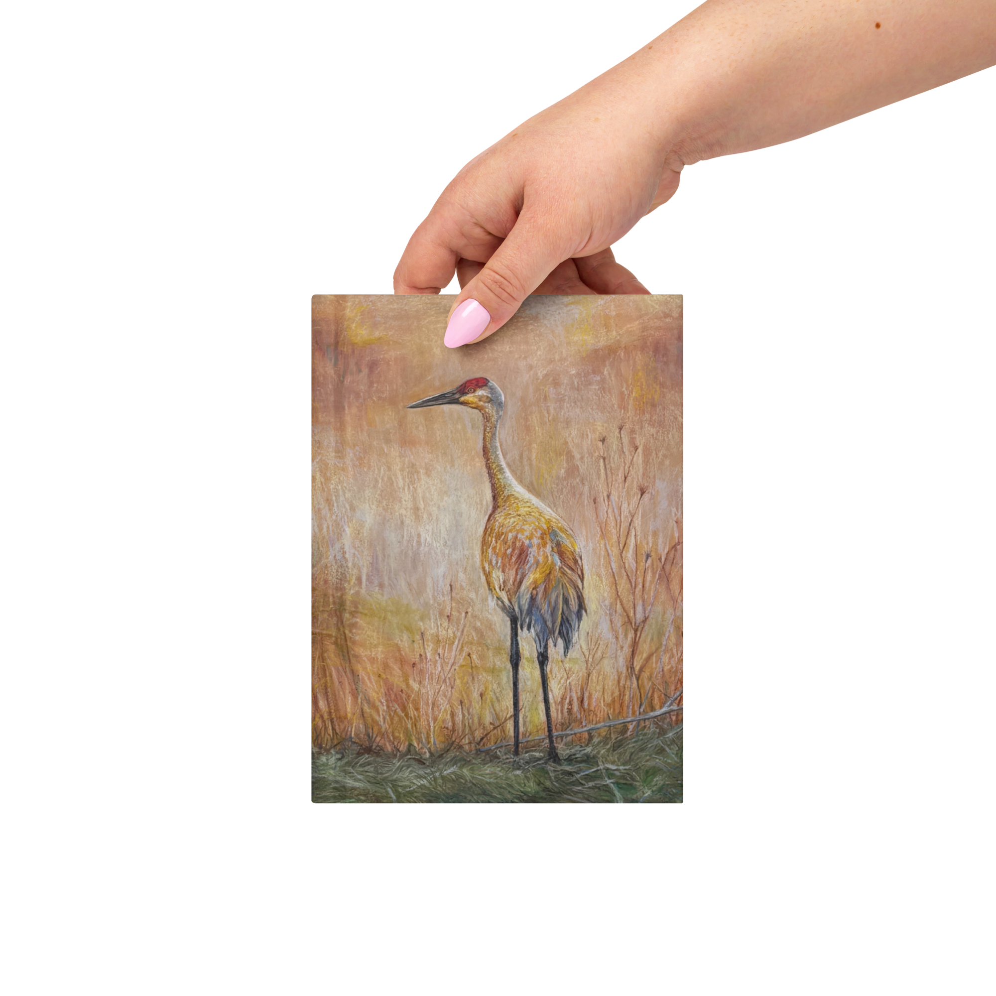 Golden Hour Crane Hardcover Journal
